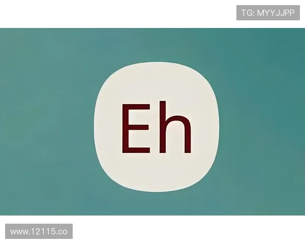 2024最新版e站绿色版免费下载入口推荐